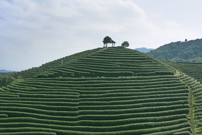 Half-Day Hangzhou Jiuxi Stream and Tea Plantation Experience - Timing, clothing, and simple preparation
