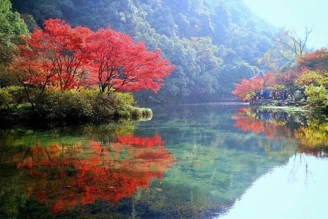 Half-Day Hangzhou Jiuxi Stream and Tea Plantation Experience - Following the tea terraces at Longjing