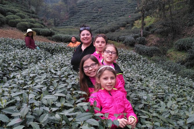 Half-Day Hangzhou Private Tour with Green Tea Village and Lingyin Temple - Feilai Peak: stone figures in a limestone setting