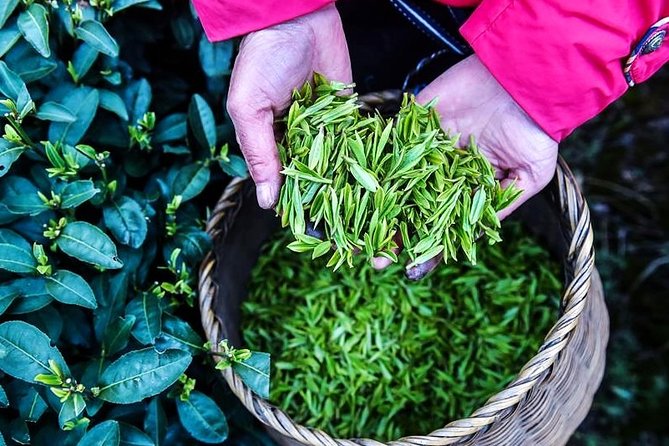 Half-Day Hangzhou Private Tour with Green Tea Village and Lingyin Temple - Lingyin Temple: a working Buddhist center