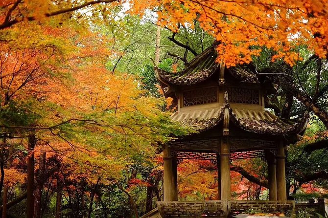 Half-Day Hangzhou Tianzhu Buddhist Mountain Hiking Tour with Green Tea Village - Faxi Temple and local Buddhist custom