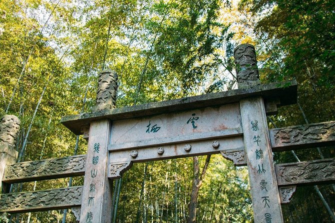 Half-Day Hangzhou Yunxi Bamboo Forest and Tea Plantation Experience - Why this short Hangzhou tour works