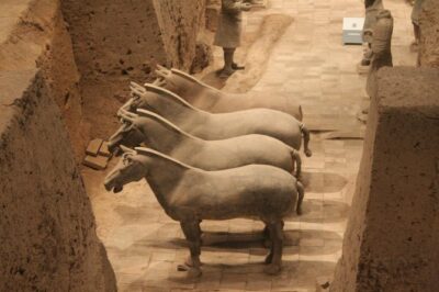 Half-Day Mini Group Xian Tour to Terracotta Warriors Museum