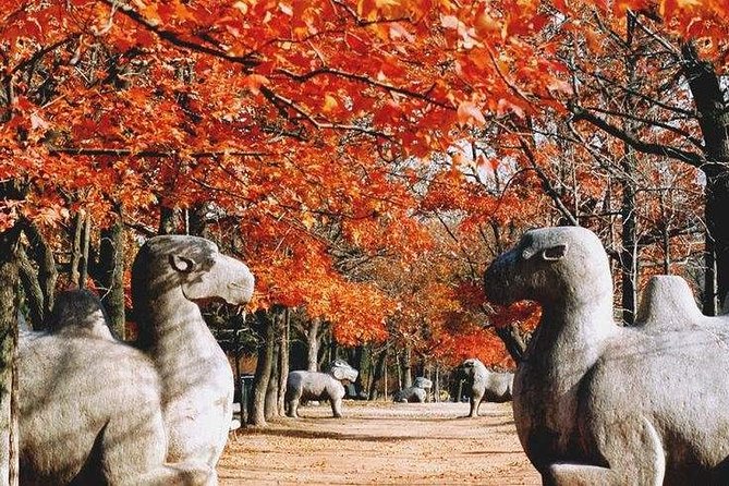 Half-Day Private Customized Nanjing City Tour - Why a private half-day works well in Nanjing