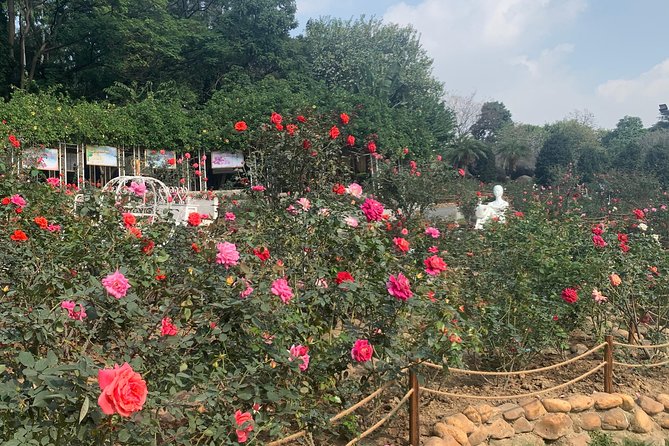 Half Day Private Tour to Yuntai Garden and Baiyun Mountain in Guangzhou - Baiyun Mountain and Summit Moxing