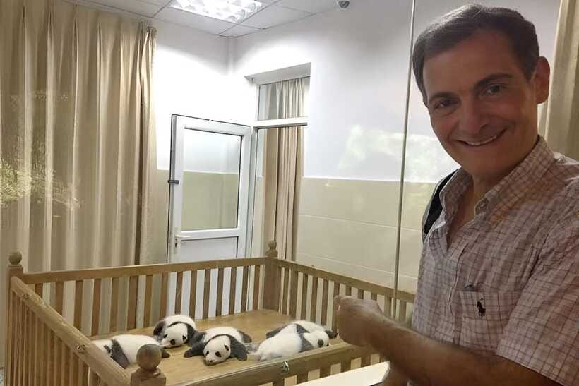 Half day small group tour to Chengdu Panda Breeding Center - Looking for cubs in the nursery