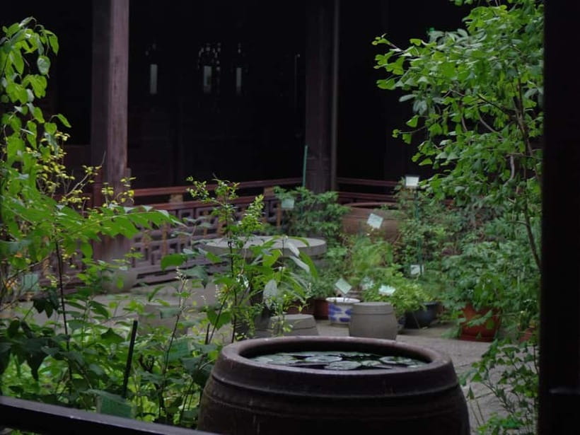 Hangzhou Insider Mini-Hike: TCM, Hill Views and Wet Market - Wu Shan Hill, temples, and strange stone stories