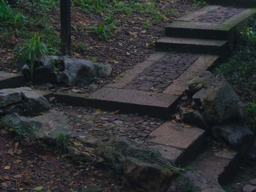 Hangzhou Insider Mini-Hike: TCM, Hill Views and Wet Market - The hidden pavilion above West Lake