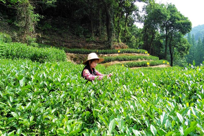 Hangzhou Private Customized Day Trip from Shanghai by Bullet Train - Why Hangzhou works as a day trip from Shanghai