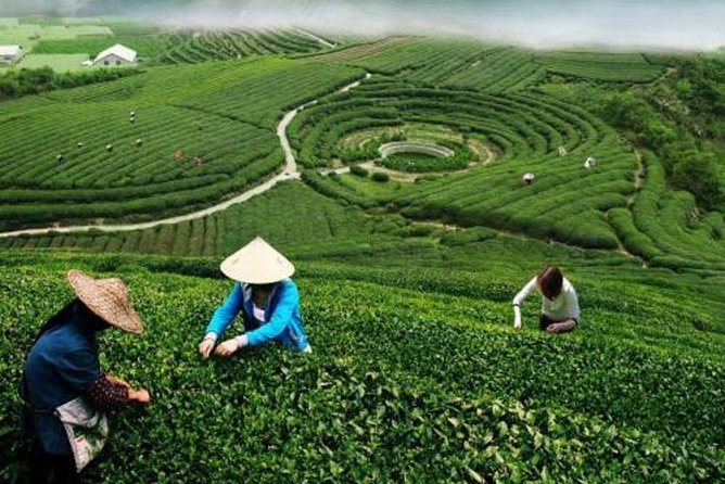 Hangzhou Private Customized Day Trip from Shanghai by Bullet Train - Hefang Street and the old commercial Hangzhou