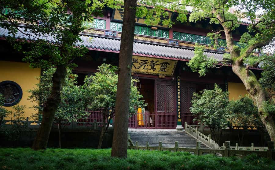 Hangzhou: Private Customized Tour of City's Top Sights - Meijiawu Tea Village and Xihu Longjing