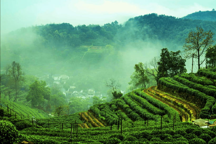 Hangzhou Private Day Trip by Bullet Train from Shanghai - Returning to Shanghai by high-speed train