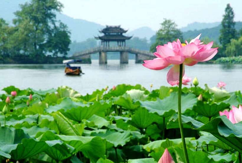 Hangzhou Private One Day Trip from Shanghai by Bullet Train - Longjing Tea Village and a Home-Style Lunch