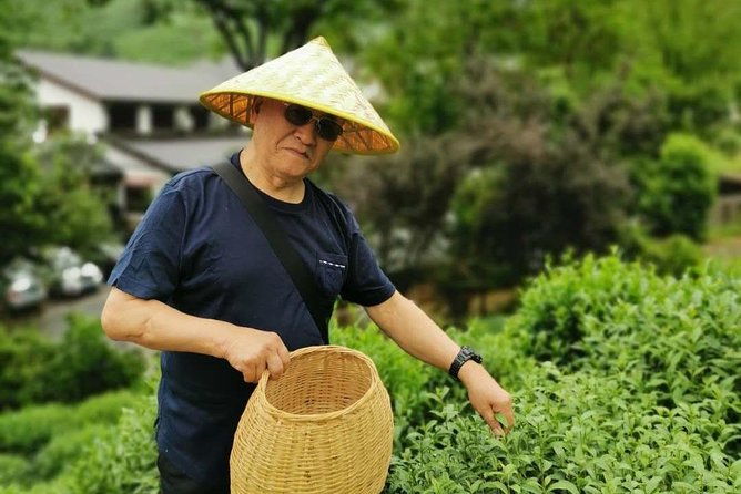 Hangzhou West Lake and Tea Plantation Half Day Tour - Longjing Tea Country at Meijiawu Village