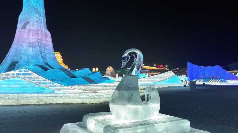 Harbin Ice and Snow Fairyland Private Day Tour - Ice and Snow World at the right hour