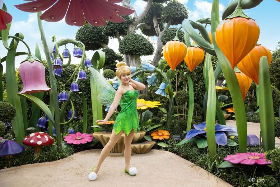 Hong Kong Disneyland Park Tickets - Food, vouchers, and what the $85 covers