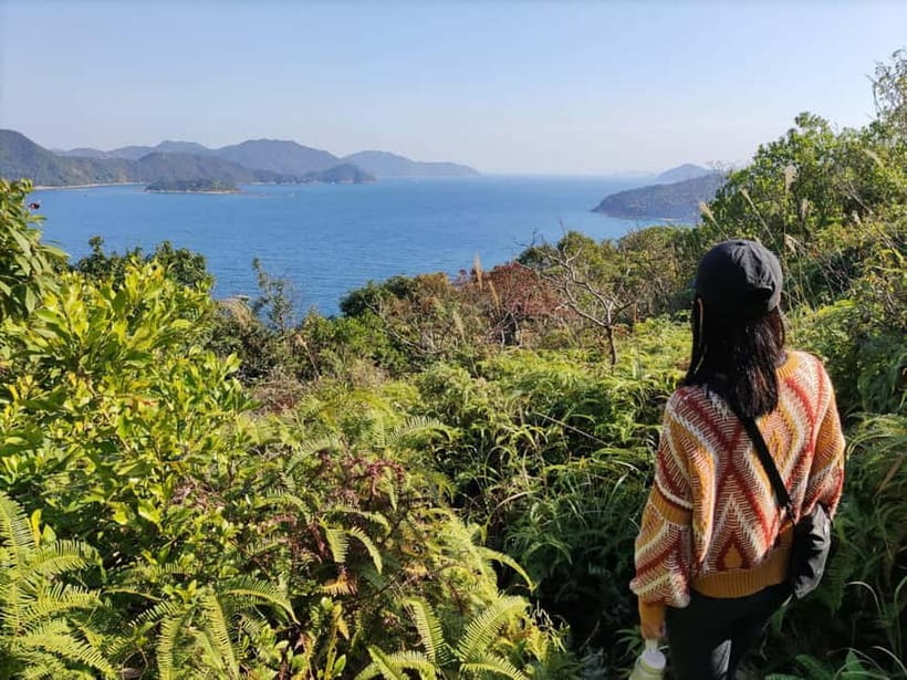 Hong Kong | Hiking and Hidden Gems Tour with Private Driver - Why this tour works well for Hong Kong