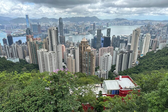 Hong Kong's Top 2 sites: Private Victoria Peak & Big Buddha Tour - What the private guide adds