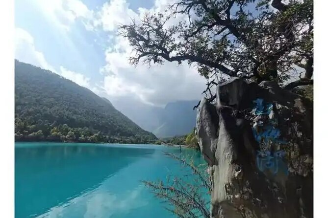 Jade Dragon Snow Mountain Glacier Cableway with Scenic Train Tour - Spruce Meadow and Yak Plain options