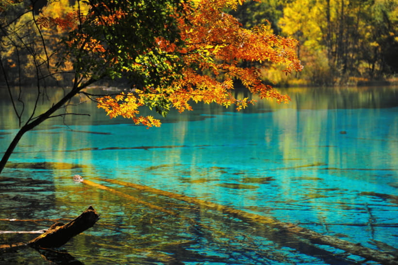 Jiuzhai Valley National Park：Visit Colorful Fairy Tale World - The final four hours: more water and forest