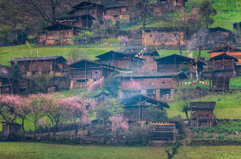 Kunming: Stone Forest & Chengzi Ancient Village Private Tour - Why this day trip works from Kunming