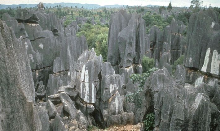 Kunming: Stone Forest Private Day Tour - Key points at a glance