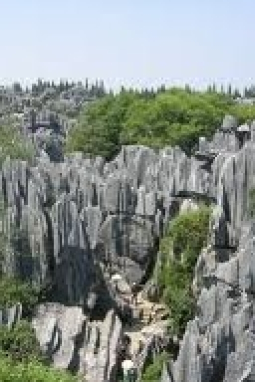 Kunming: Stone Forest Private Day Tour - Walking through the Greater and Lesser Stone Forest