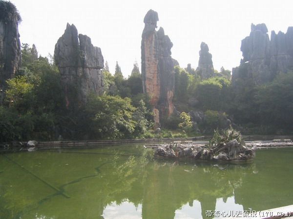 Kunming: Stone Forest Private Day Tour - Seven ways to shape the day