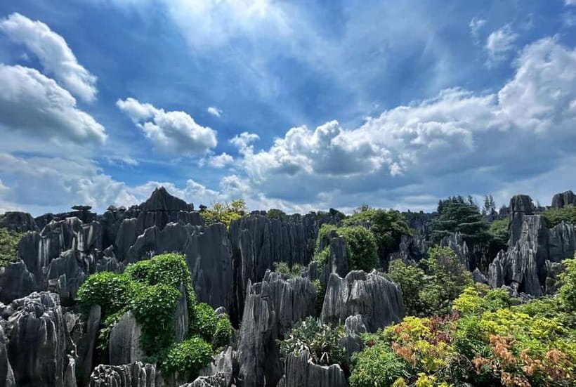 Kunming: Stone Forest, Roast Duck Lunch and City Tour - Key things to know before you book