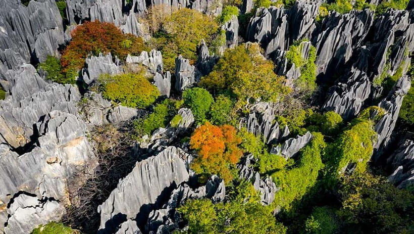 Kunming: Stone Forest, Roast Duck Lunch and City Tour - Choosing the right Kunming city add-on