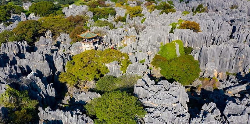 Kunming: Stone Forest, Roast Duck Lunch and City Tour - Practical details that can improve your day