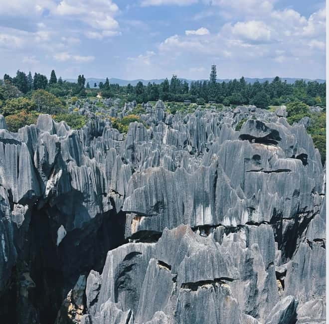 Kunming: Stone Forest, Roast Duck Lunch and City Tour - The Sani stories behind the rocks