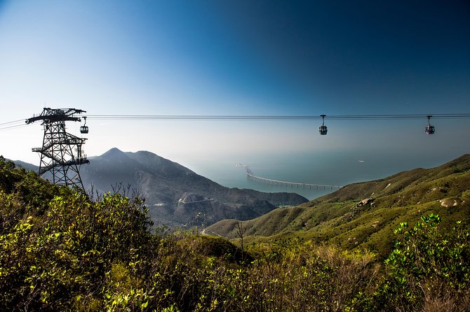 Lantau HK Guided Tour - Cable Car, Tai O, Big Buddha, Monastery - Using the MTR pass around Hong Kong