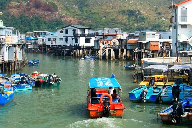 Lantau Island Day Trip - Big Buddha & Tai O - How the guide affects the experience