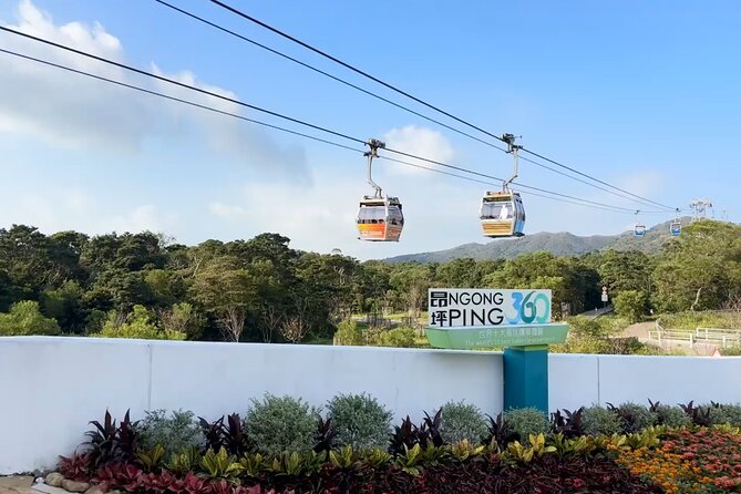 Lantau Island Day Trip: Giant Buddha & Cable Car with Pickup - Who will enjoy this Lantau tour most