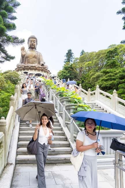 Lantau Island: Priority Cable Car, Tai O & Direct Transfer - What the $79 Price Really Buys You