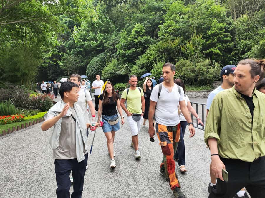 Leshan Grand Buddha Scenic Area and Panda Park Day Tour - Why combine pandas with the Leshan Buddha?