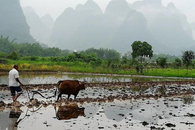 Li River Cruise with bamboo Rafting & Xianggong Hill Private Tour - Timing, weather, and small practical choices
