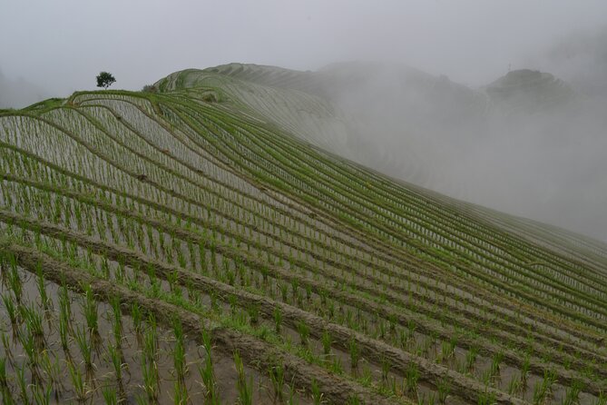 Longji Dazhai Rice Terraces Day Tour Cable Car Adventure - Why the cable car changes the Longji experience