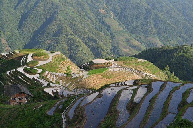 Longji Dazhai Rice Terraces Day Tour Cable Car Adventure - What the $99 price really covers