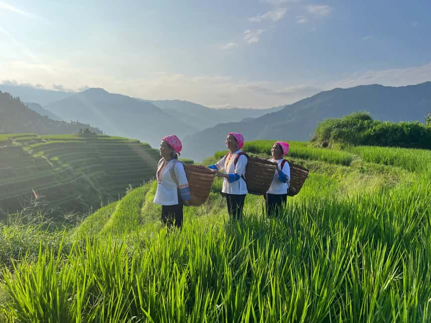 Longji Rice Terraces: 1-Day Private Tour - Bamboo-tube lunch in a minority village