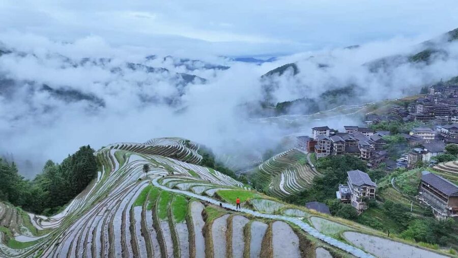 Longji Rice Terraces: 1-Day Private Tour - Is $89 good value?