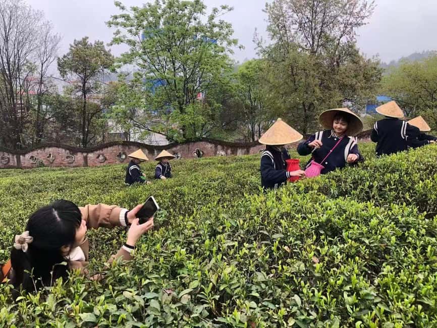Longji Rice Terraces: 1-Day Private Tour - The road to Longji Rice Terraces
