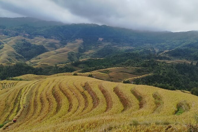 Longji Rice Terraces All In One Dazhai and Pingan Villages Tour - Key points at a glance