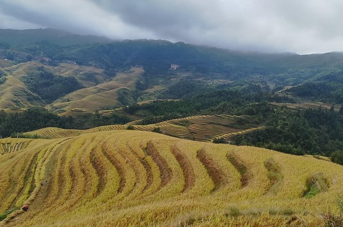 Longji Rice Terraces All In One Dazhai and Pingan Villages Tour - Who will enjoy this Longji day trip?