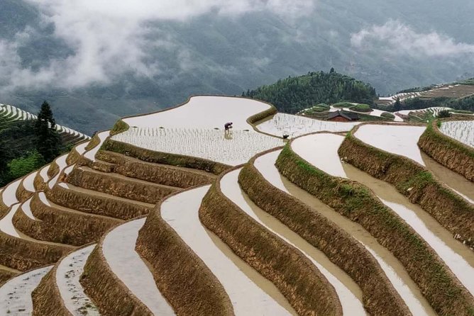 Longji Rice Terraces and Minority Village Day Tour - Returning to Guilin by late afternoon