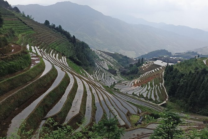 Longji Rice Terraces Day Tour from Guilin hotel - Walking through Ping’an’s terrace views