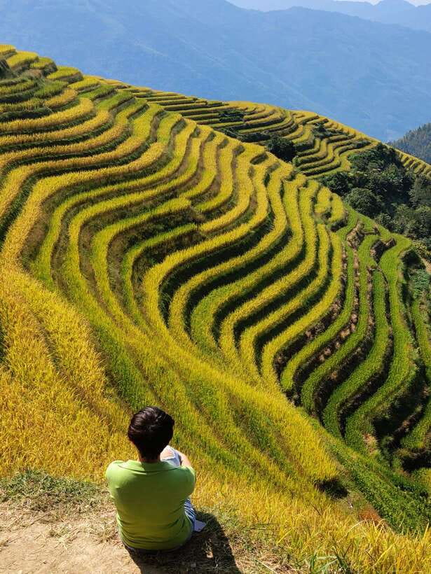 Longji Rice Terraces: Full-Day Private Tour from Guilin - Timing, cancellation, and getting back