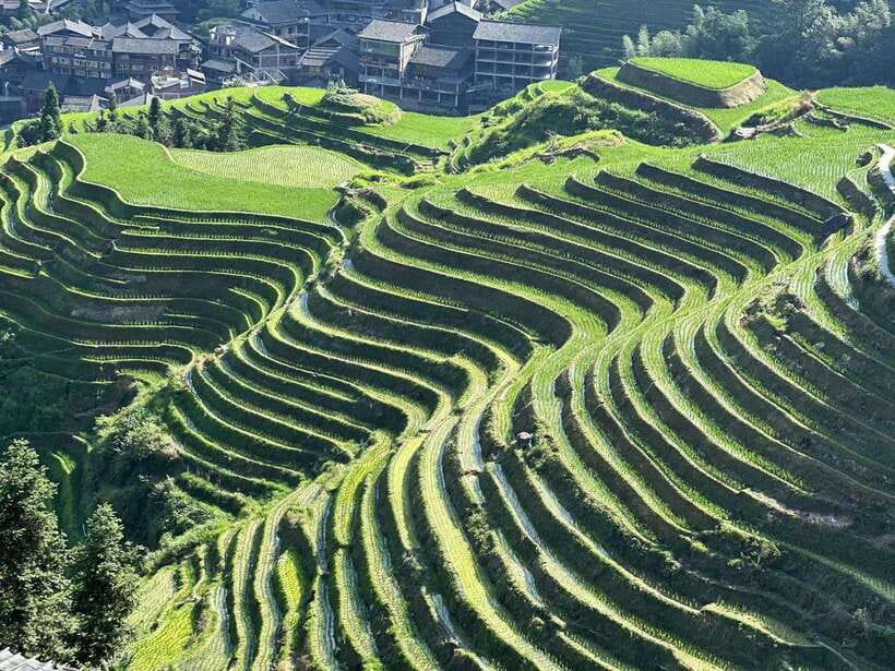 Longji Rice Terraces: Full-Day Private Tour from Guilin - Why Longji is worth the drive from Guilin