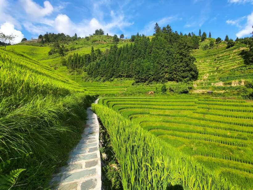 Longji Rice Terraces: Full-Day Private Tour from Guilin - Ping’an village and its wooden buildings